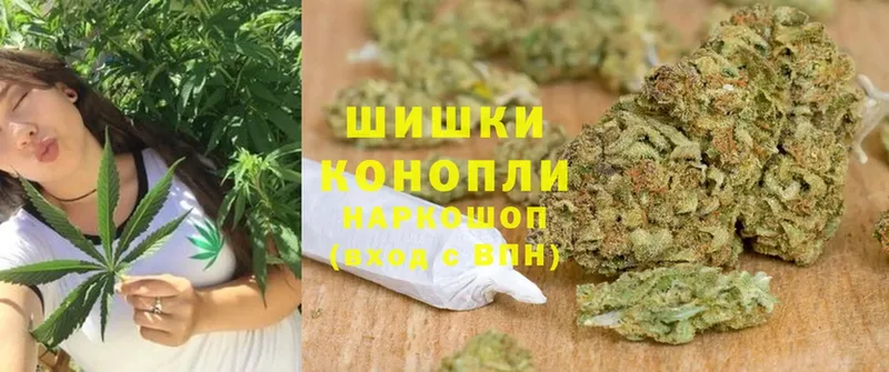 как найти наркотики  Бежецк  Бошки марихуана SATIVA & INDICA 